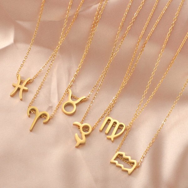 Popular Stainless Steel 18k Gold Plated Choker Statement the Zodiac Necklace for Women Gift With Quality Wholesale - صورة 4