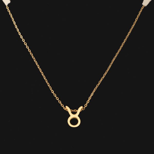 Popular Stainless Steel 18k Gold Plated Choker Statement the Zodiac Necklace for Women Gift With Quality Wholesale - صورة 5
