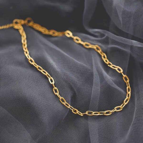 Design Jewelry Stainless Steel Choker Thick Chain Necklace for Women 18k Pvd Gold Plated 2022 New Design